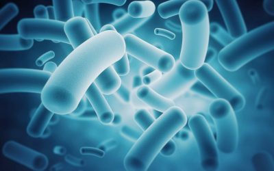 The Microbiome and Neurodevelopment